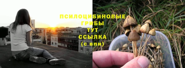 ГАЛЛЮЦИНОГЕННЫЕ ГРИБЫ Абаза